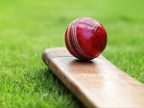 Cricket ball resting on a cricket bat on green grass of cricket pitch.