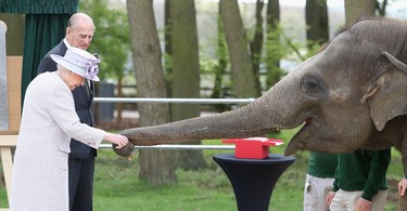 Queen Elizabeth II and Prince Philip, Duke of Edinburgh feed Donna, an Asian Elephant, as they visit the ZSL Whipsnade Zoo at the Elephant Centre on April 11, 2017 in Dunstable, United Kingdom.   (Chris Jackson/Getty Images)