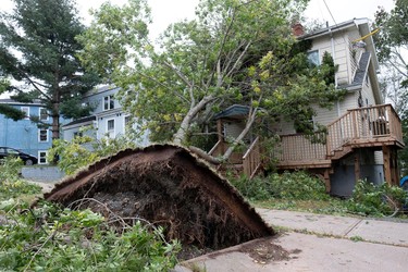 A fallen tree lies on a house following the passing of Hurricane Fiona, later downgraded to a post-tropical storm, in Halifax, Sept. 24, 2022.