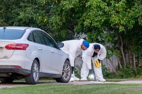 Investigators in protective equipment examine the ground at a crime scene in Weldon, Sask., on Sunday, Sept. 4, 2022.