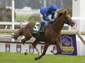 Toronto Jockey William Buick guides Modern Games to victory in the $1,000,000 Ricoh Woodbine Mile at Woodbine on Sept. 17, 2022. Modern Games is owned by Godolphin and trained by Charles Appleby.