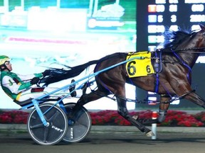 Stockade Seelster flies down the track at Woodbine Mohawk Park Saturday night. Supplied photo