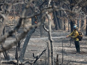 A firefighter works to contain the north side of the Mountain Fire, near Gazelle, Calif., Sept. 3, 2022.