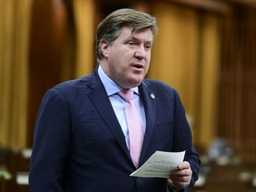 Conservative MP Pat Kelly rises during question period in the House of Commons on Parliament Hill in Ottawa on Friday, June 4, 2021.