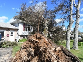 Servicemen on their way to help with Fiona's recovery efforts 2 Homeowner George MacDonald describes the moment several trees landed on his home in Glace Bay, Nova Scotia on Sunday, September 25, 2022.