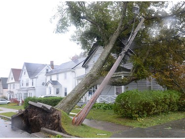 Fallen trees lean against a house in Sydney, N.S. as post tropical storm Fiona continues to batter the Maritimes on Saturday, Sept. 24, 2022.
