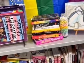 Screenshot of California teacher's 'queer library.'