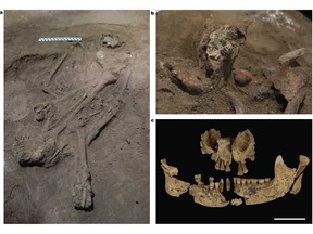 Figure a shows a single adult inhumation (TB1). The skull is to the right of the scale bar, as shown by the exposure of the supraorbital ridge. A flexed burial position with the right knee brought to the chest and a complete right foot, and the left knee flexed below the pelvis, with the tibia and fibula underneath the femur. Figure b shows in situ nodule of red ochre (a natural earth pigment) next to the mandible. Figure c shows maxilla and mandible. Scale bar, 5 cm.