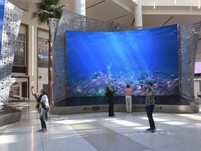 Gigantic LED screens depicting underwater springs and skylight views of blue skies are seen in the new terminal at Orlando International Airport, Tuesday, Sept. 6, 2022 in Orlando, Fla.