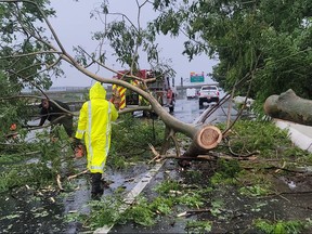 In this handout photo provided by the Fire Department Bureau of Puerto Rico on Sept. 18, 2022, firefighters work to remove a fallen tree from the road in Vega Baja, Puerto, Rico.