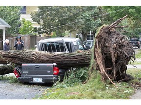 A fallen tree lies on a crushed pickup truck following the passing of Hurricane Fiona, later downgraded to a post-tropical storm, in Halifax, Nova Scotia, Sept. 24, 2022.