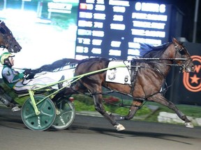 Bulldog Hanover competed in the $600,000 (U.S.) Breeders’ Crown open pace late Saturday. Michael Burns photo