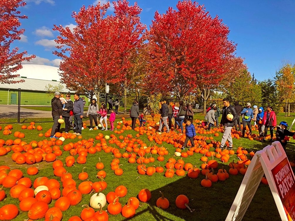 10 Things To Do In Toronto This Weekend Toronto Sun 10-things-to-do-in-toronto-this-weekend-toronto-sun