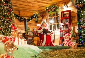 Upcoming Canadian Tire Christmas Sale