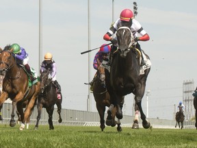 Toronto On. August 20, 2022. Woodbine Racetrack. .Jockey Antonio Gallardo guides Cairo Consort to victory in the $125,000 dollar Catch A Glimpse Stakes. Cairo Consort is owned by William B. Thompson Jr. and trained by Nathan Squires.