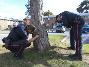 Toronto Police said 40 rounds were fired Monday night at the Danzig St. housing complex, hitting homes, cars, parking signs and trees.
