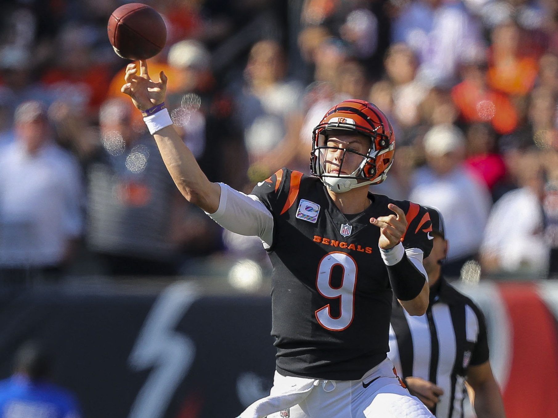 NFL WEEK 16 PICKS: Bengals ready to roar in New England