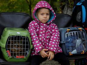 A girl sits between pet carriers as civilians evacuated from the Russian-controlled city of Kherson wait to board a bus heading to Crimea, in the town of Oleshky, Kherson region, Russian-controlled Ukraine, Saturday, Oct. 22, 2022.