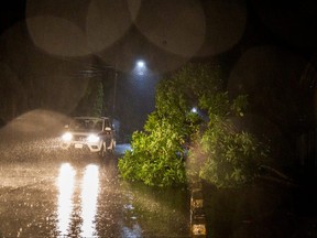 People in a vehicle drive past a fallen tree after Hurricane Julia hits the coasts with wind and rain, in Bluefields, Nicaragua, Oct. 8, 2022.