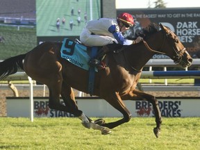 Jockey Declan Carroll guides Sir for Sure to victory in the $400,000 Breeders’ Stakes at Woodbine yesterday. Michael Burns Photo