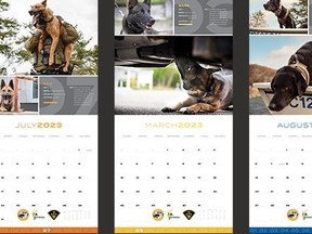 Four-legged members of the OPP's canine unit are striking poses for a 2023 calendar to raise charitable funds.
