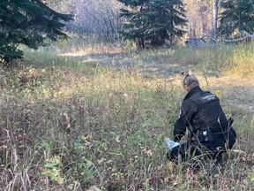 The B.C. Conservation Officer Service is investigating after three people were injured in a black bear attack near Dawson Creek on Oct. 3, 2022.