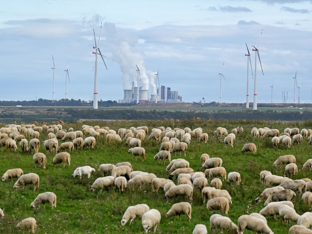 Zaremco: Deutschland weicht von der Erneuerbare-Energien-Zukunft ab