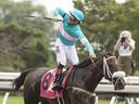 Jockey Rafael Hernandez celebrates as he rides Moira over the finish line to win the 163rd running of the $1-million Queen's Plate in Toronto on Sunday, August 21, 2022.