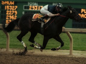 Jockey Don Seymour guides Kinghaven Farms’ Play the King to victory in the 1987 at the Nearctic Stakes. File Photo