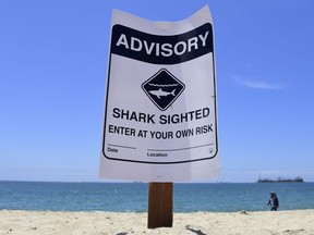 Warning signs for shark sightings remain in Long Beach, California, on May 16, 2017.