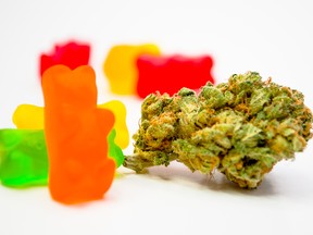 THC gummy bears with cannabis.