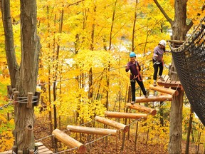 Two girls trekking high above the ground amongst the yellow and orange treetops.