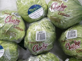 Iceberg lettuce in a display case at Fruitary Dollar in Montreal on November 17, 2022.