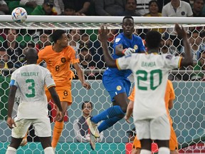Netherlands' Cody Gakpo (second from left) scores past Senegal's goalkeeper Edouard Mendy during their 2022 World Cup Group A football match.