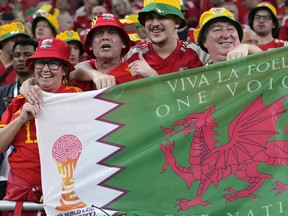 Fans cheer ahead the World Cup, group B soccer match between the United States and Wales, at the Ahmad Bin Ali Stadium in in Doha, Qatar.