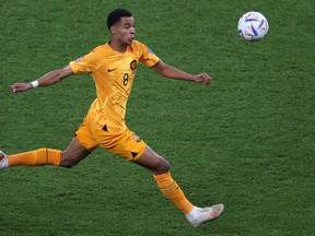 Netherlands forward Cody Gakpo runs for the ball against Ecuador.