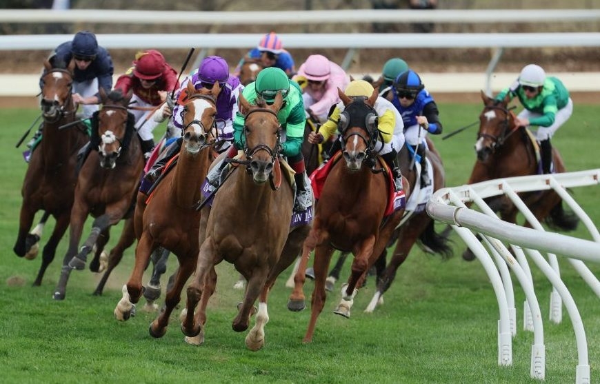 Attfield was not horsing around at Breeders’ Cup