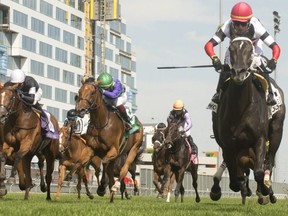 Cairo Consort placed an impressive third in the $1 million Breeders’ Cup Juvenile Fillies Turf stakes on Nov. 4. Michael Burns photo