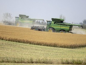 A pair of combines work together to cultivate a crop just east of Moose Jaw, Sask., Sept. 12, 2022.