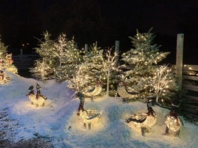 Holiday offerings from Canadian Tire’s special Christmas trail. (Rita DeMontis photo)