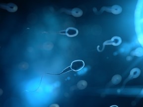 An Israeli-led study has found sperm counts have plummeted by 62% in under 50 years, and the findings have implications for the future of the human race.