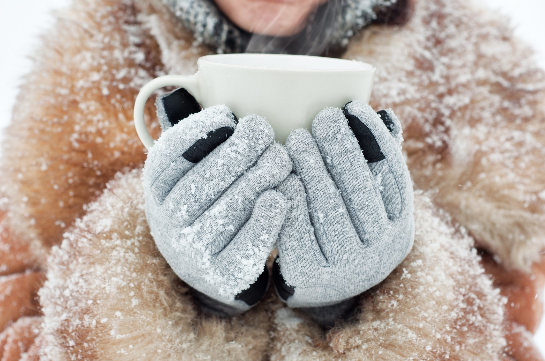 ‘Tis the season for winter’s national drink: Hot chocolate!