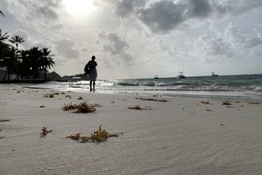 An early morning beach stroll from The Sands Barbados. Rita DeMontis/Toronto Sun