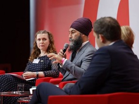 NDP Leader Jagmeet Singh led an NDP delegation to Germany where they met with that country's leadership