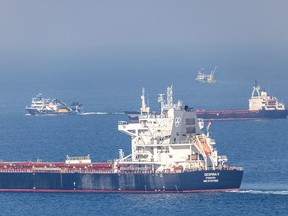 Cargo ship Despina V, carrying Ukrainian grain, is seen in the Black Sea off Kilyos near Istanbul, Turkey November 2, 2022.