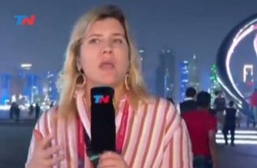 ROBBED: Journalist Dominique Metzger had her wallet stolen while she reported live. SCREENGRAB