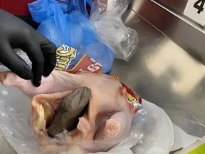 The Transportation Security Administration posted photos of the gun and poultry Monday on its official Instagram account.