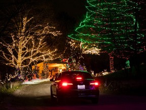 Car driving on trail with trees covered in Christmas lights