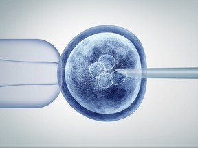 Genetic editing and gene research in vitro CRISPR genome engineering medical biotechnology health care concept with a fertilized human egg embryo and a group of dividing cells as a 3D illustration.
