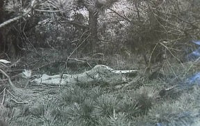 A teenager has found her body. PROVINCE POLICE